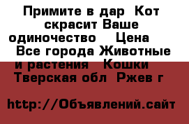 Примите в дар. Кот скрасит Ваше одиночество. › Цена ­ 0 - Все города Животные и растения » Кошки   . Тверская обл.,Ржев г.